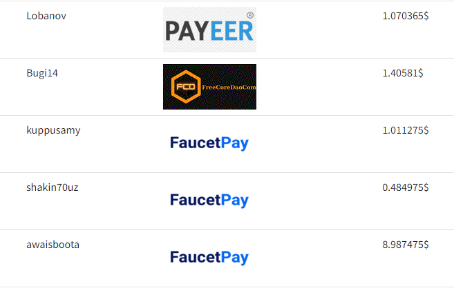 NedreGPT.com Payment Proofs in 2024